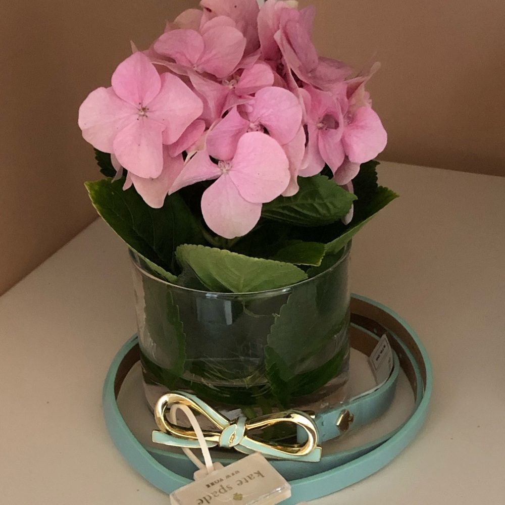 Kate spade belts